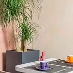 Ibis Styles Centre 3*