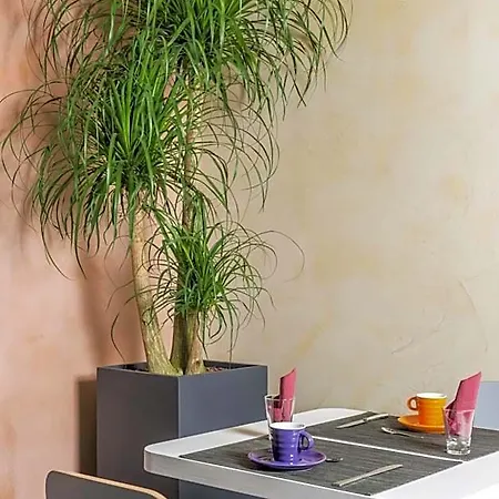 Hotel Ibis Styles Centre
